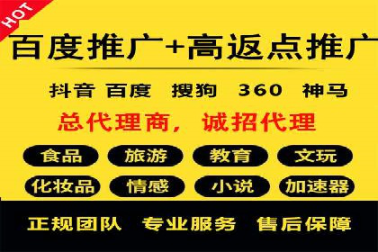 百度推广的广告投放策略案例